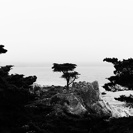 Pebble Beach